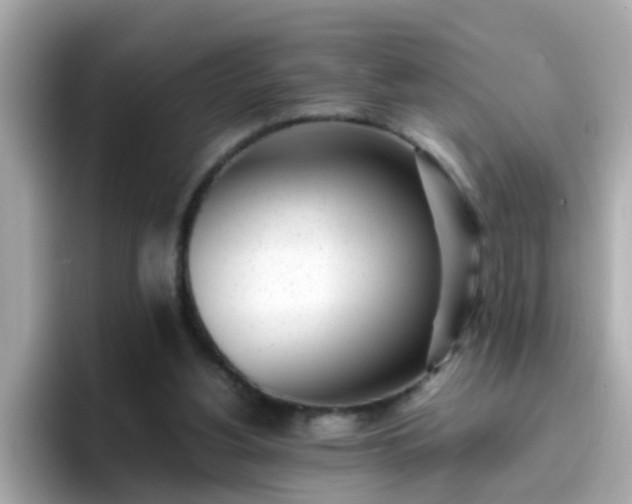 X0000096670156200802121158