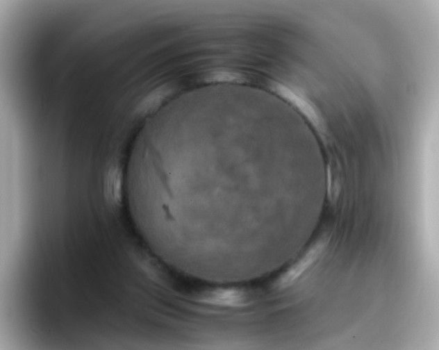 X0000096670157200802121158
