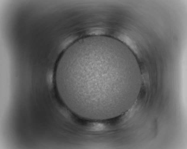X0000096670159200802121158