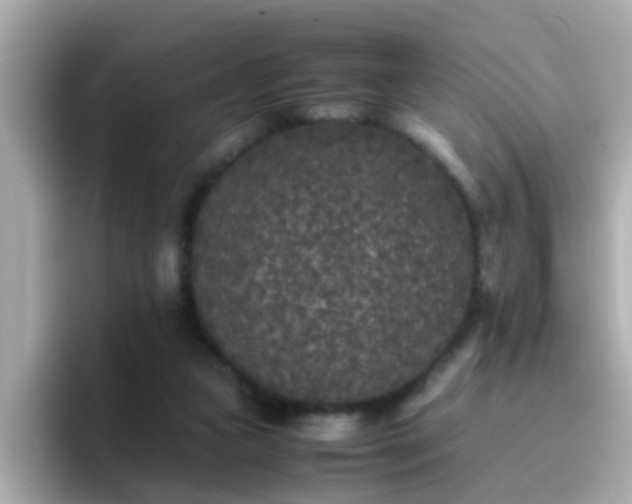 X0000096670161200802121158
