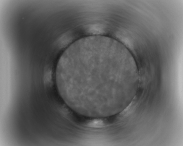X0000096670162200802121158