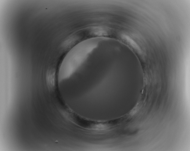 X0000096670163200802121158