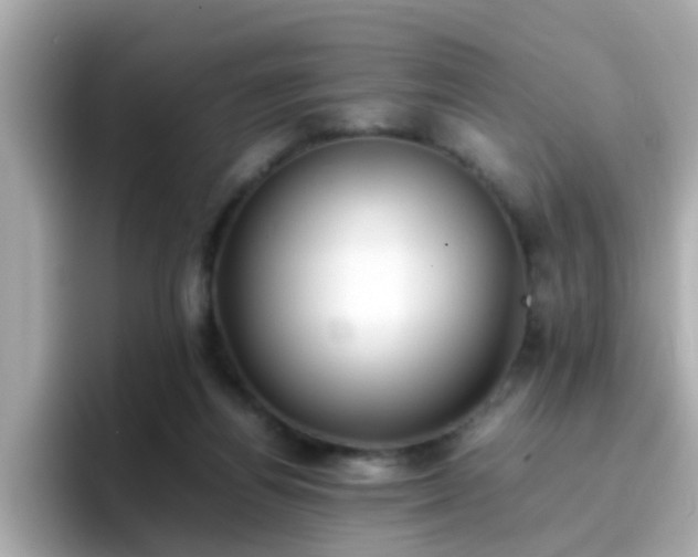 X0000096670164200802121158