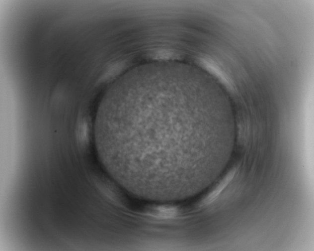 X0000096670165200802121158