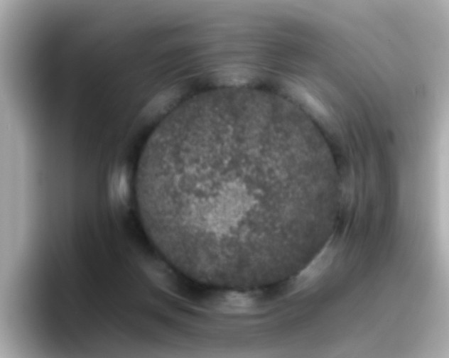 X0000096670166200802121158