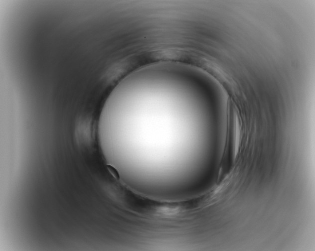X0000096670168200802121158
