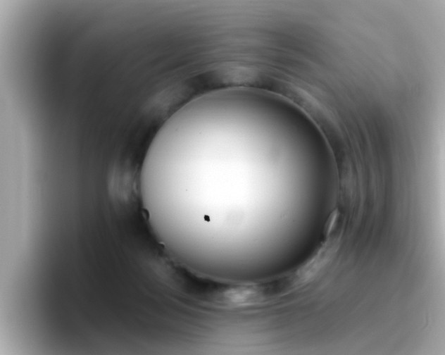 X0000096670172200802121158