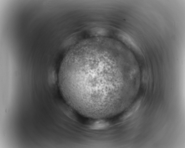 X0000096670173200802121158