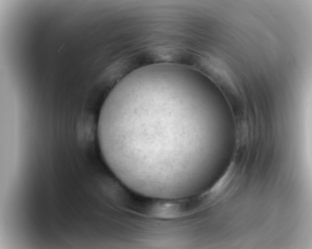 X0000096670174200802121158