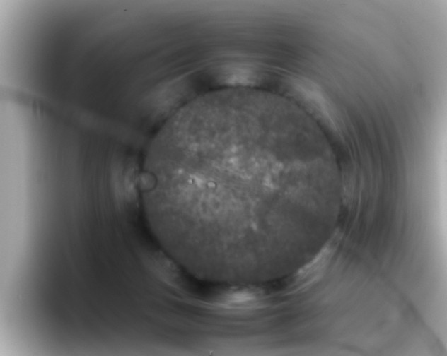 X0000096670175200802121158