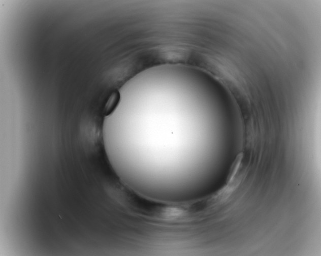 X0000096670176200802121158