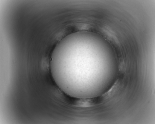 X0000096670179200802121158