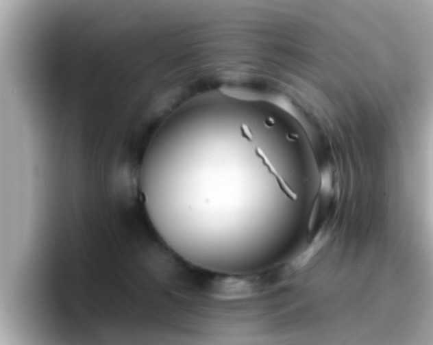 X0000096670180200802121158