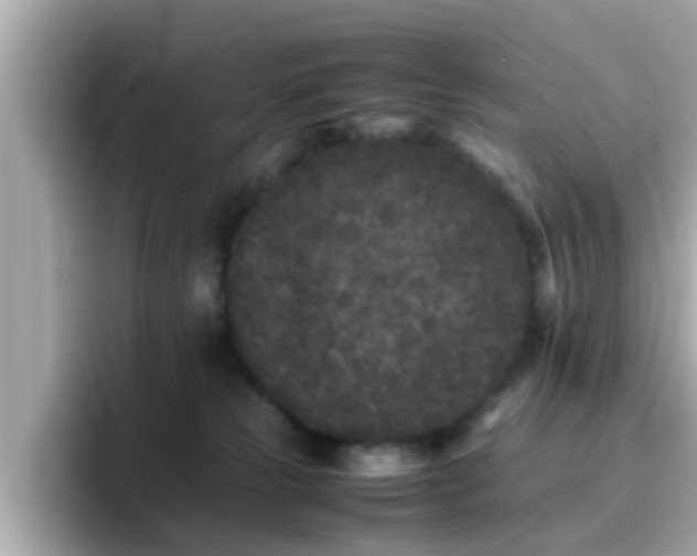 X0000096670181200802121158