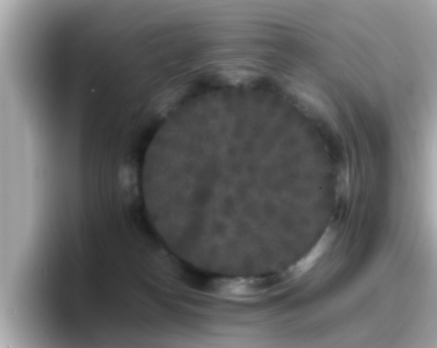 X0000096670182200802121158