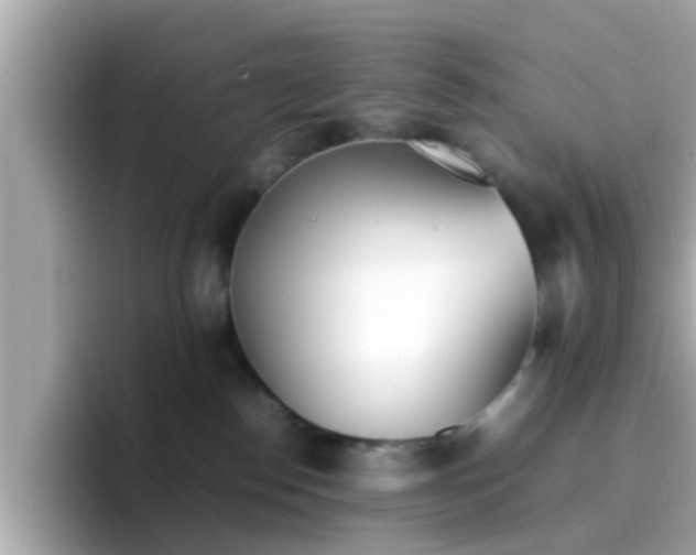 X0000096670186200802121159