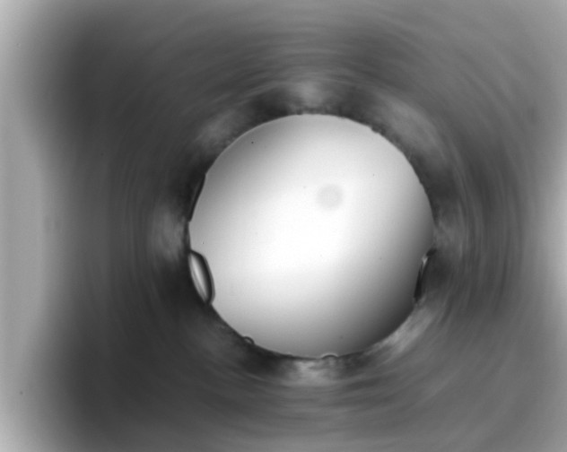 X0000096670188200802121159