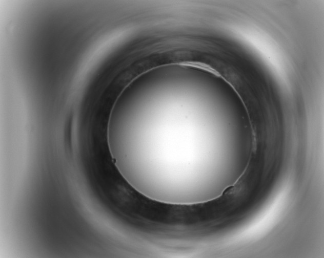 X0000096670190200802121159