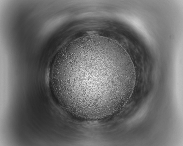 X0000096670194200802121158