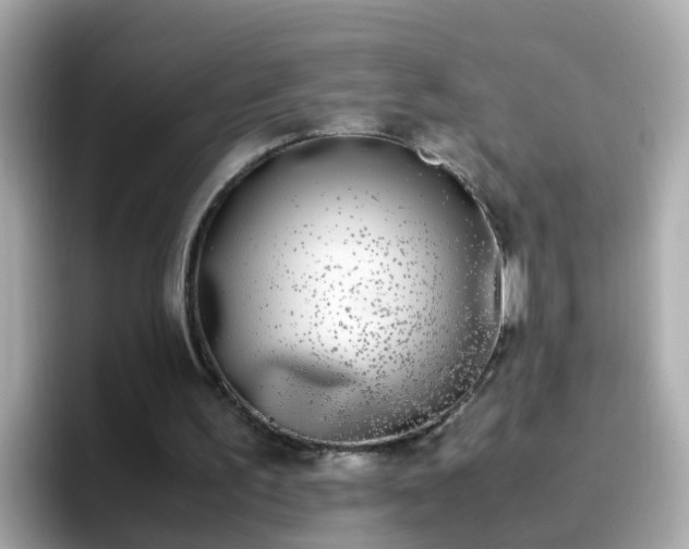 X0000096670195200802121158