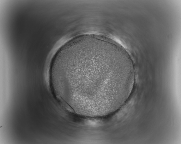 X0000096670199200802121158