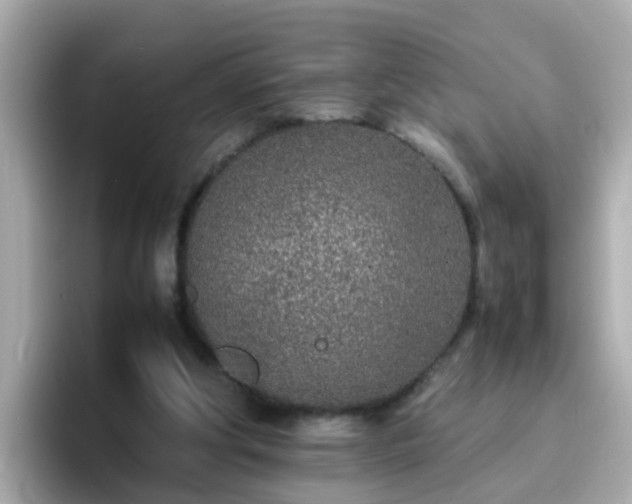 X0000096670202200802121158