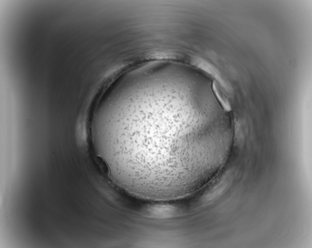 X0000096670203200802121158