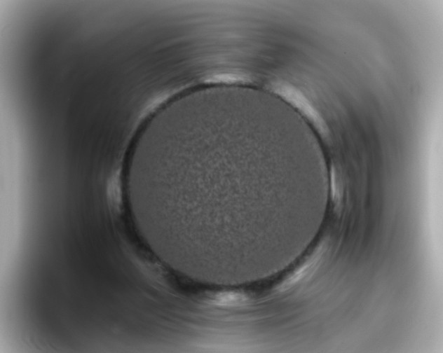 X0000096670204200802121158