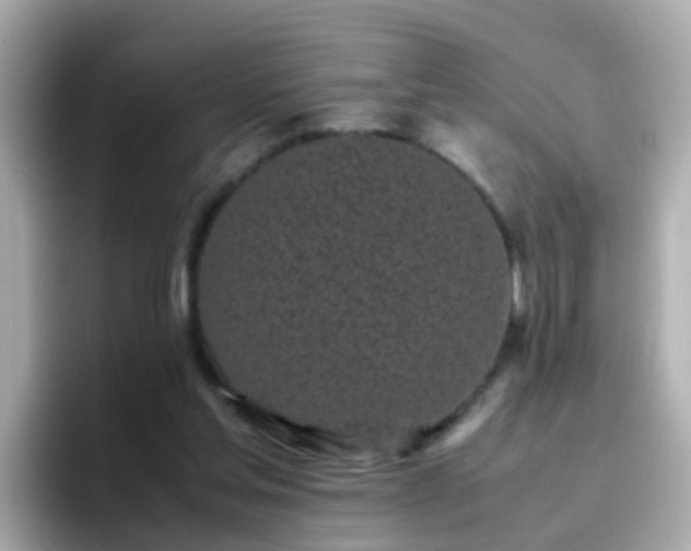 X0000096670205200802121158