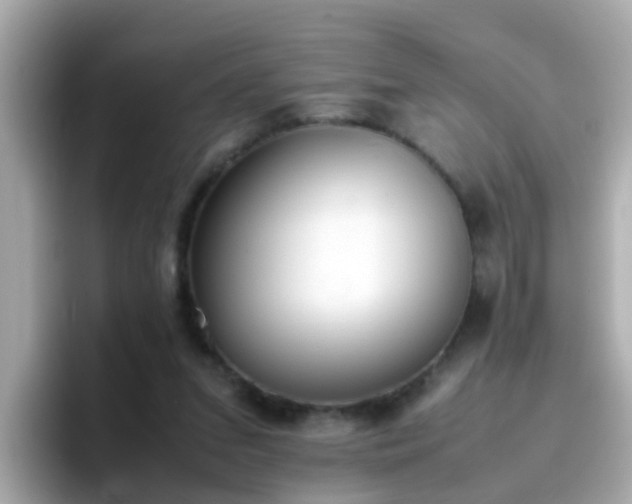X0000096670207200802121158