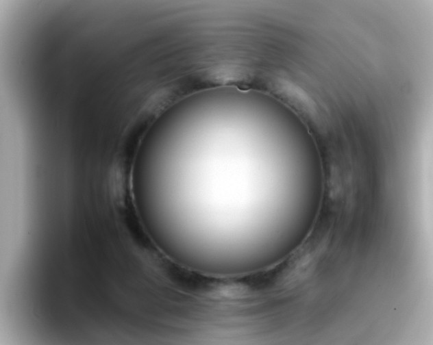 X0000096670210200802121158