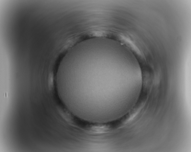X0000096670213200802121158