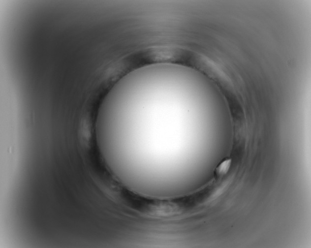X0000096670215200802121158