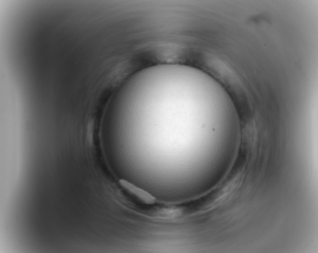 X0000096670217200802121158