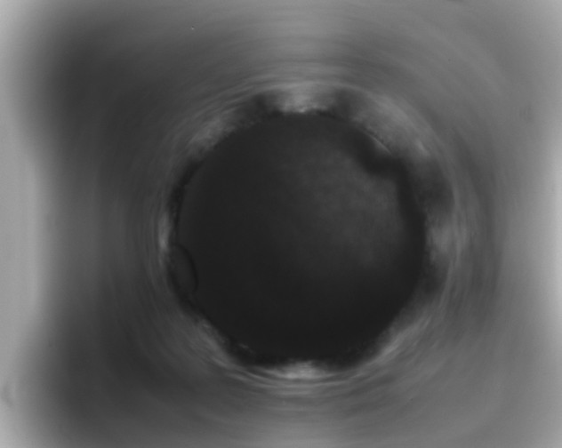 X0000096670219200802121158