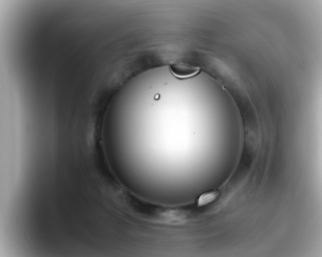 X0000096670221200802121158