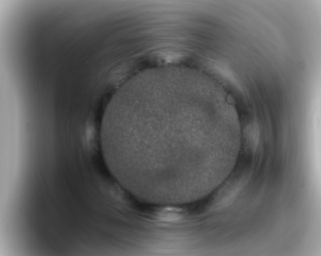 X0000096670222200802121158