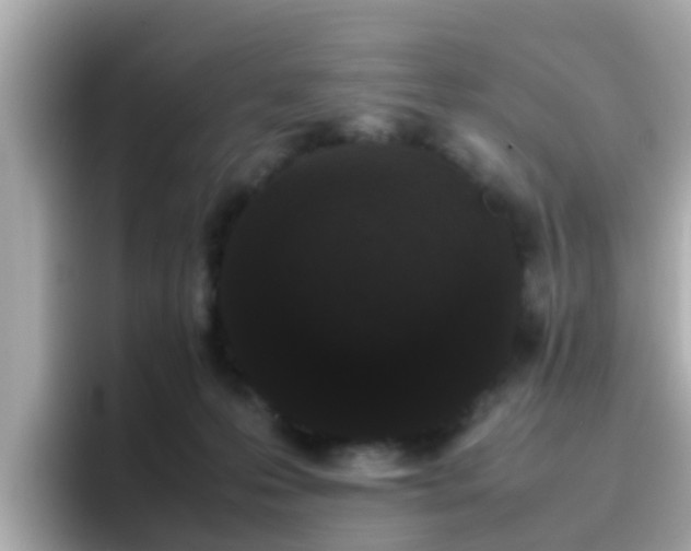 X0000096670223200802121158