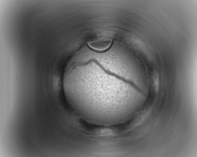 X0000096670224200802121158