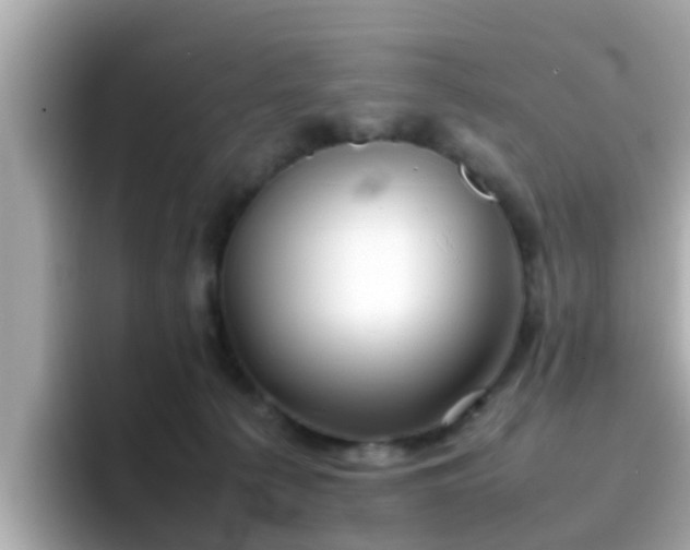 X0000096670225200802121158