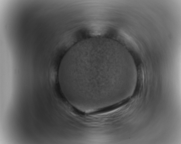 X0000096670227200802121158