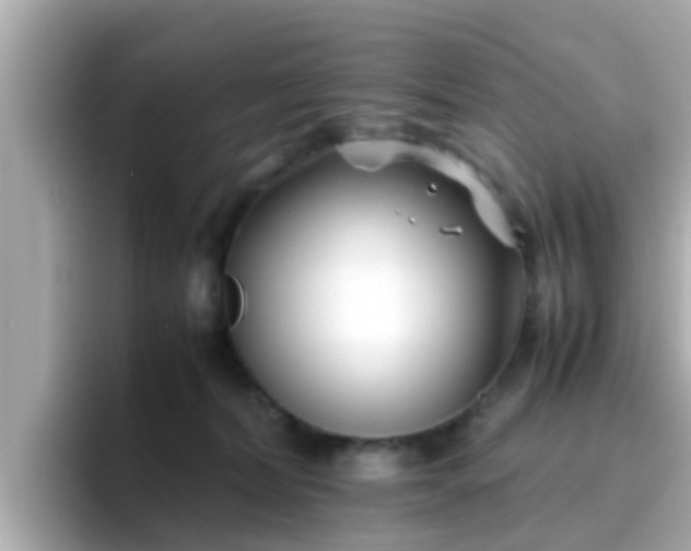 X0000096670228200802121158