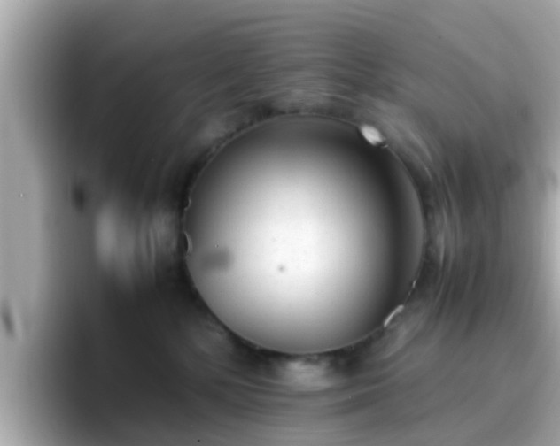 X0000096670232200802121157