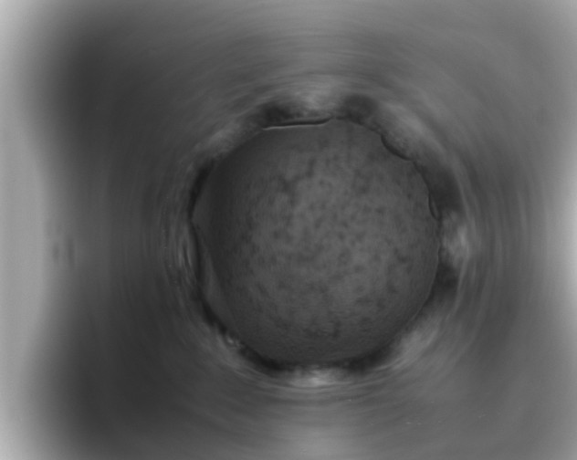 X0000096670235200802121157