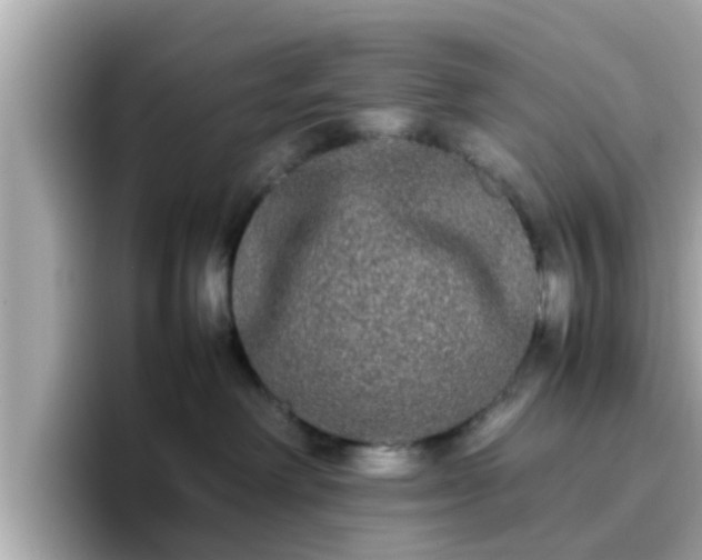 X0000096670238200802121157
