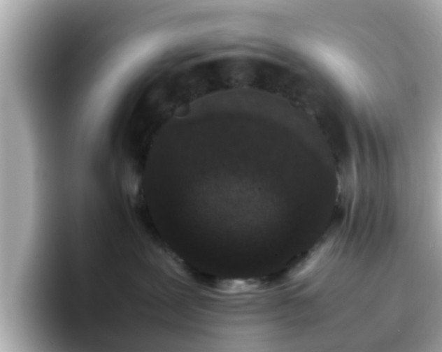 X0000096670239200802121157