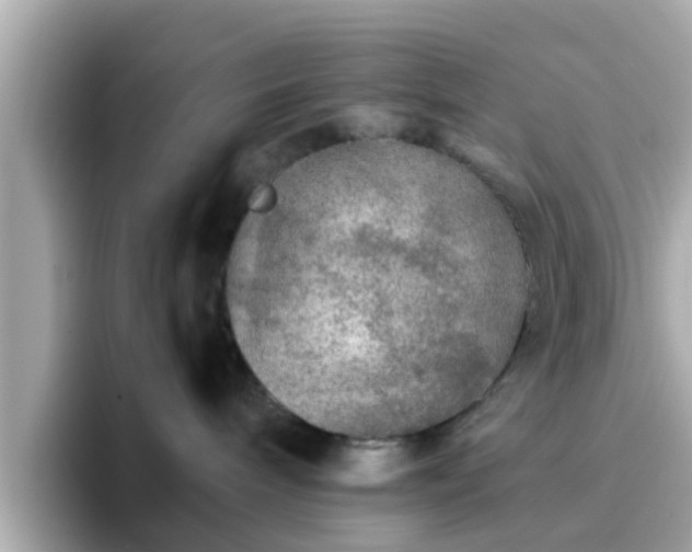 X0000096670240200802121157