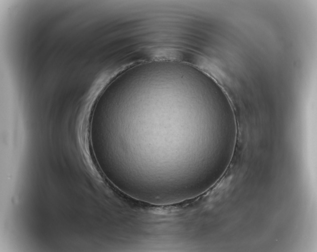 X0000096670241200802121157