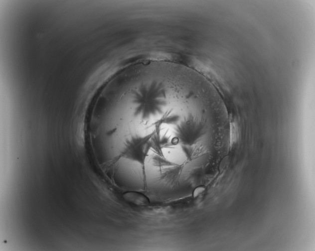 X0000096670243200802121157