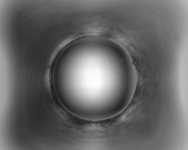 X0000096670244200802121157